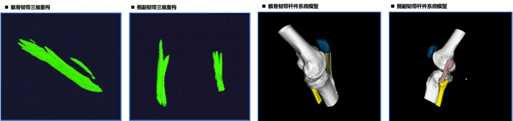 系统实现效果部分展示