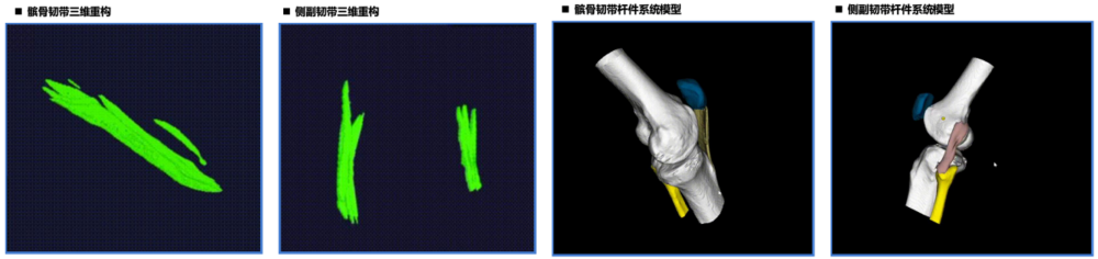 系统实现效果部分展示